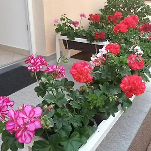 Marelja - Private Parking And Balcony Zadar